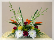 Tropicana :: Tropical Flower Arrangement