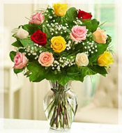 1 Dz Premium Long Stem Assorted Roses Arrangement