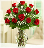 1 Dz Premium Long Stem Red Roses Arrangement