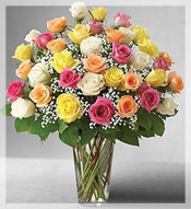 3 Dz Premium Long Stem Assorted Roses Arrangement