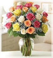 2 Dz Premium Long Stem Assorted Roses Arrangement