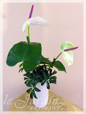 Custom Made Upscale White Flower Arrangements