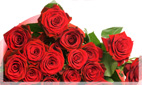 Roses | Rose Flower Arrangements