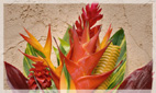 Tropical Flower Arrangements